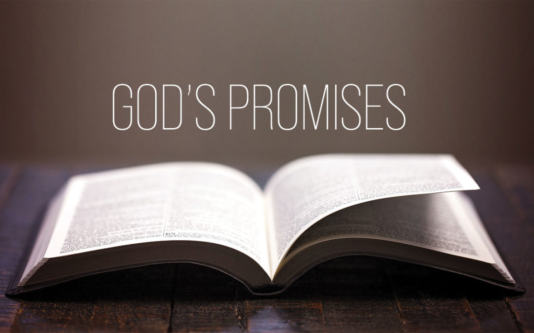 14 Sure Promises of God